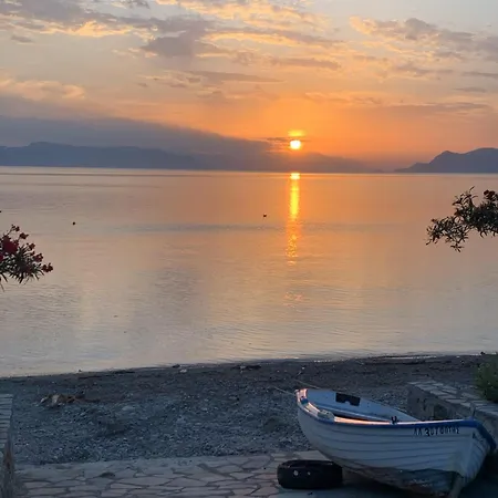 Leventis Lejlighed *